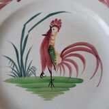 Large plate or semi-deep dish