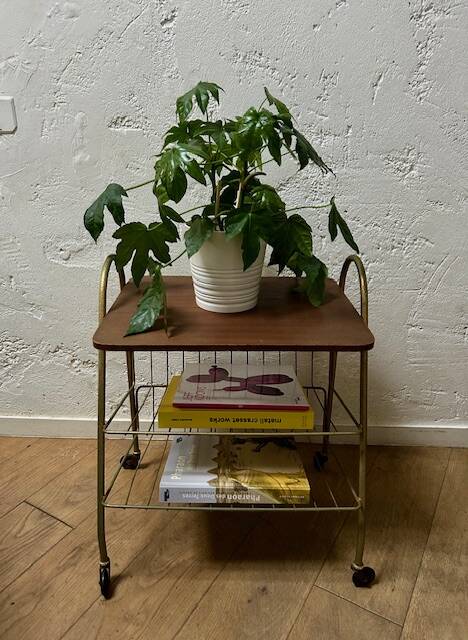 Vintage rolling saddle