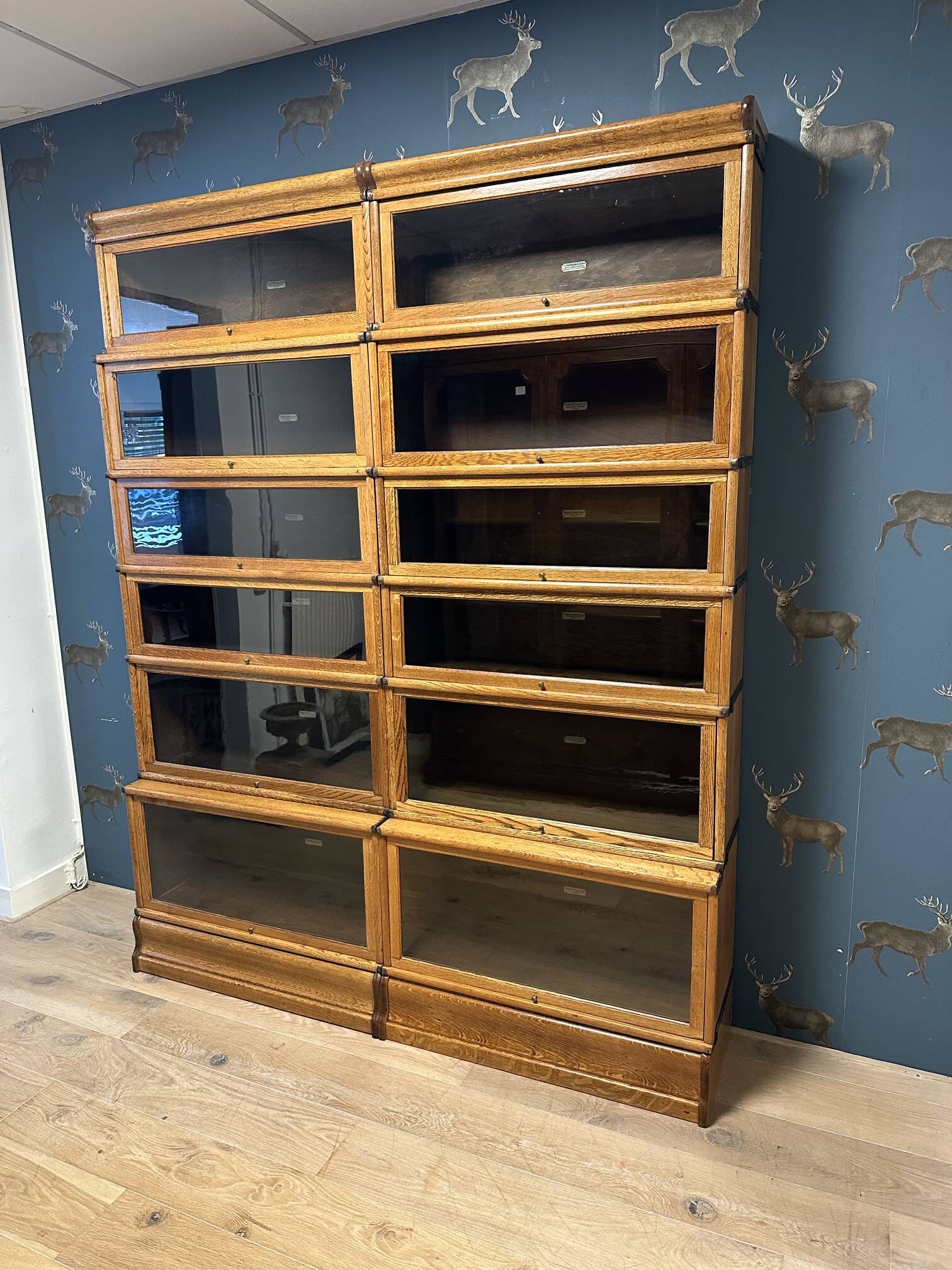 Large Glob Wernicke Bookcase