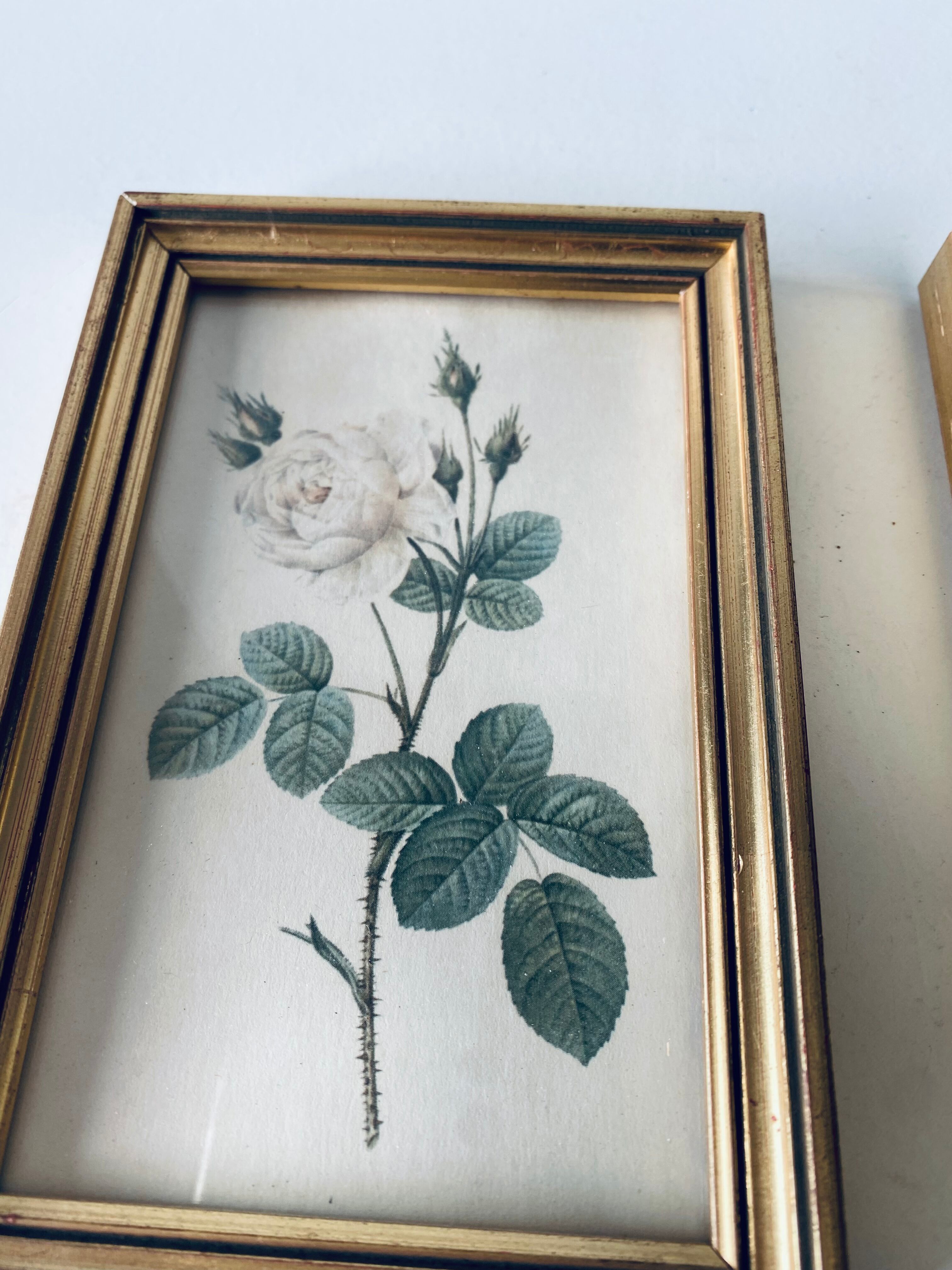 Duo of framed lithographs