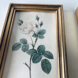 Duo of framed lithographs