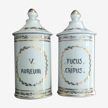 Pair of large pharmacy jars 19th century