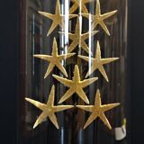 Cabinet of Curiosities globe with starfish asteroidea sp.