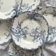 6 “Iris” Clairefontaine ironstone dessert plates