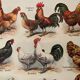 Lithograph on hens from 1921 XXXV