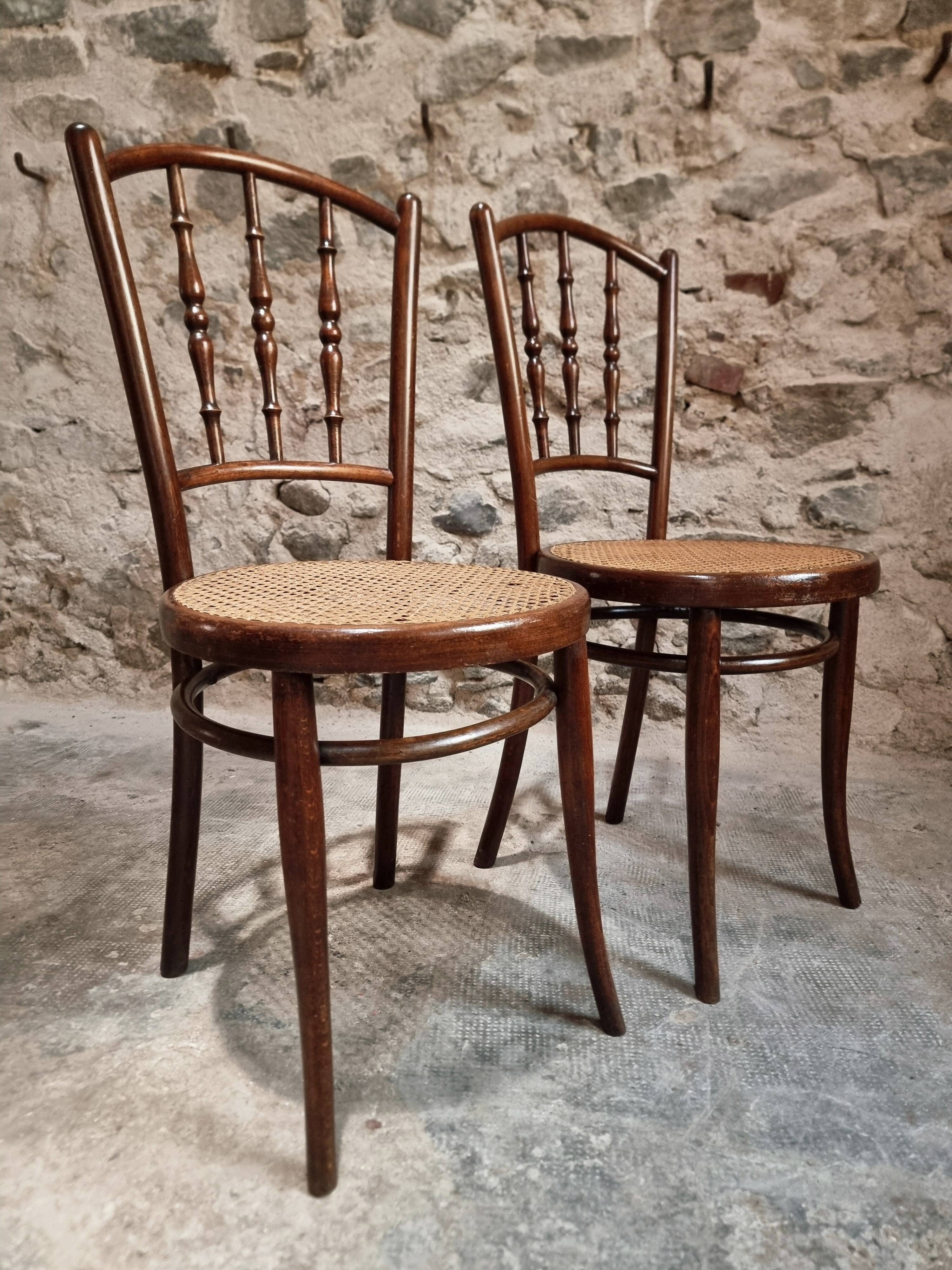 2 chaises bistrot viennoises Kohn antiques en bois courbé et cannage, Autriche vers 1900–1930