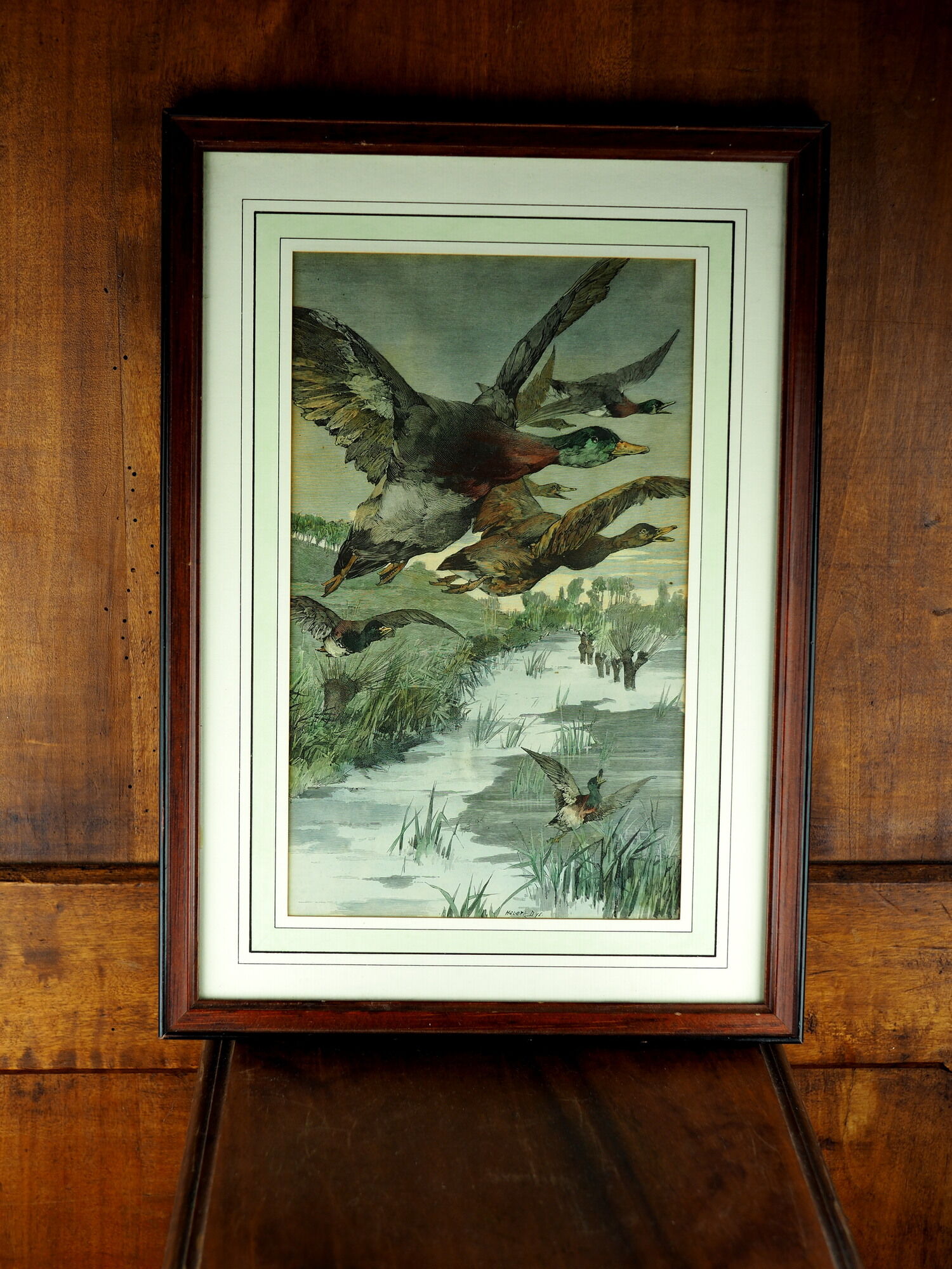 Flight of ducks, marshes and tetard willows - chromolithography Jules Habert-Dys - 1880