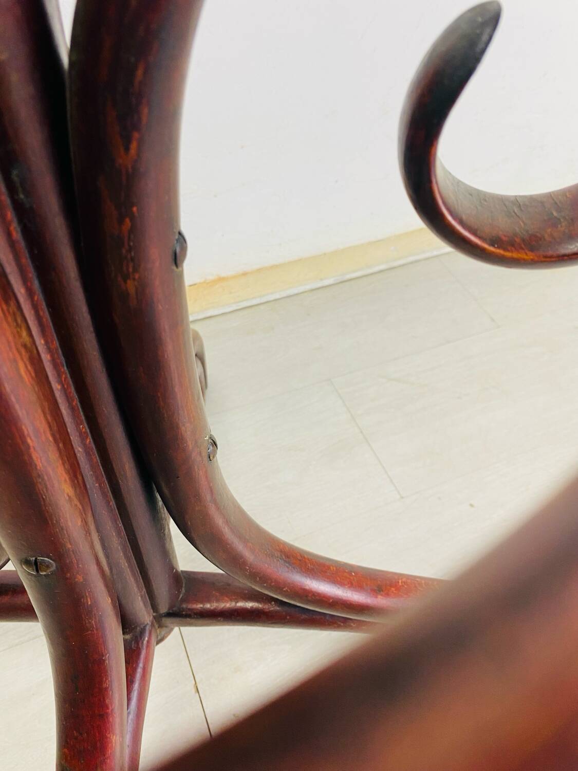 Portemanteau perroquet