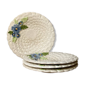 Barbotine plates