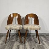 Pair of Dining Chairs by Antonin Suman, 1960s