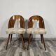 Pair of Dining Chairs by Antonin Suman, 1960s