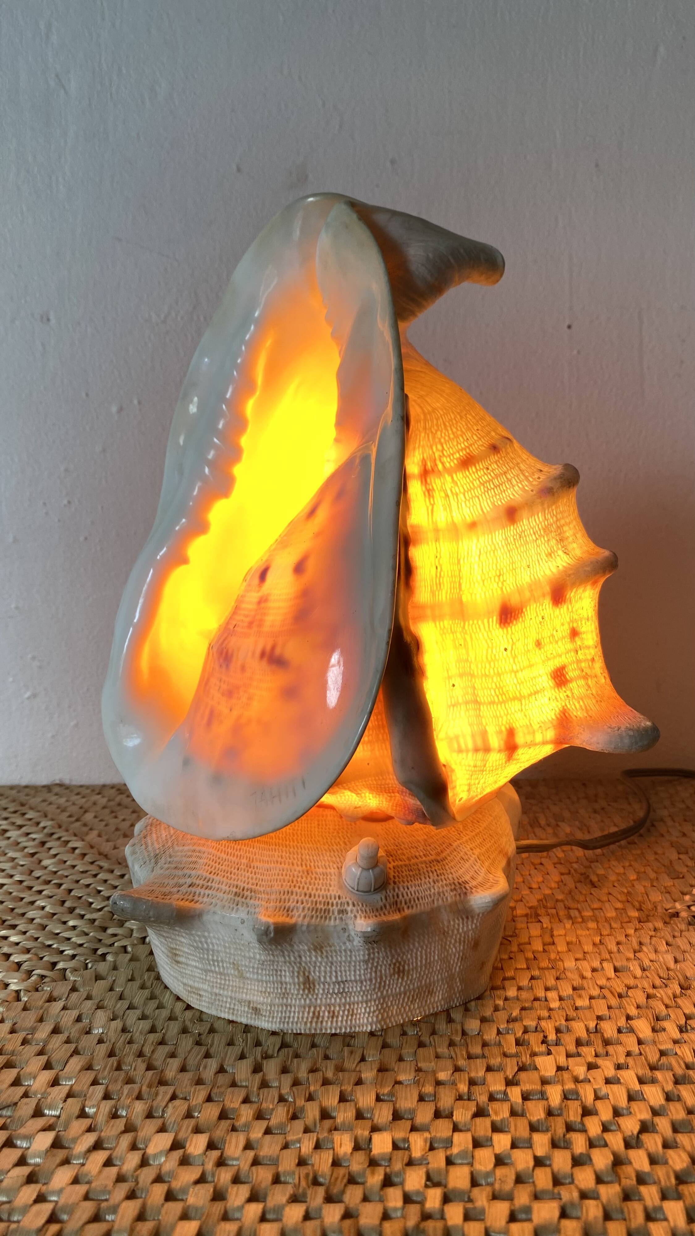 Lampe veilleuse en coquillage casque royal Tahiti
