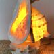 Lampe veilleuse en coquillage casque royal Tahiti
