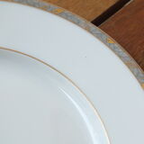 5 porcelain dessert plates from Limoges - Deshoulières and Guy Degrenne