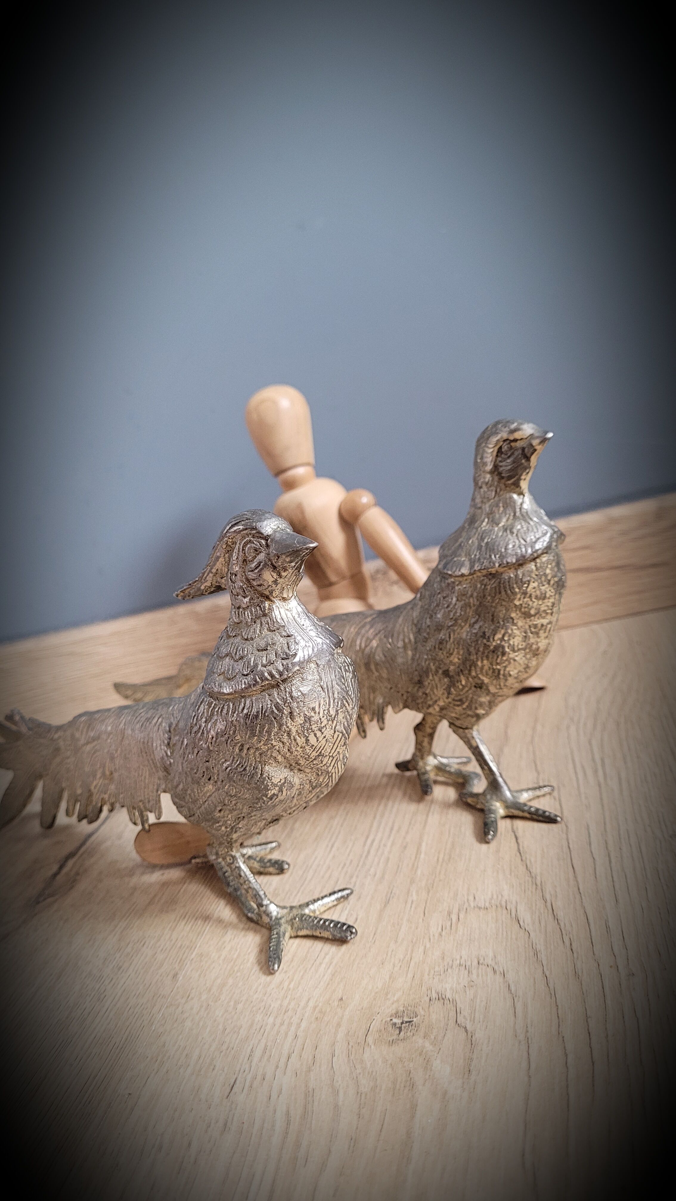 DuO of peacocks