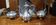 Victorian tea/coffee service - James Dixon & Sons (Sheffield) - 3 pieces