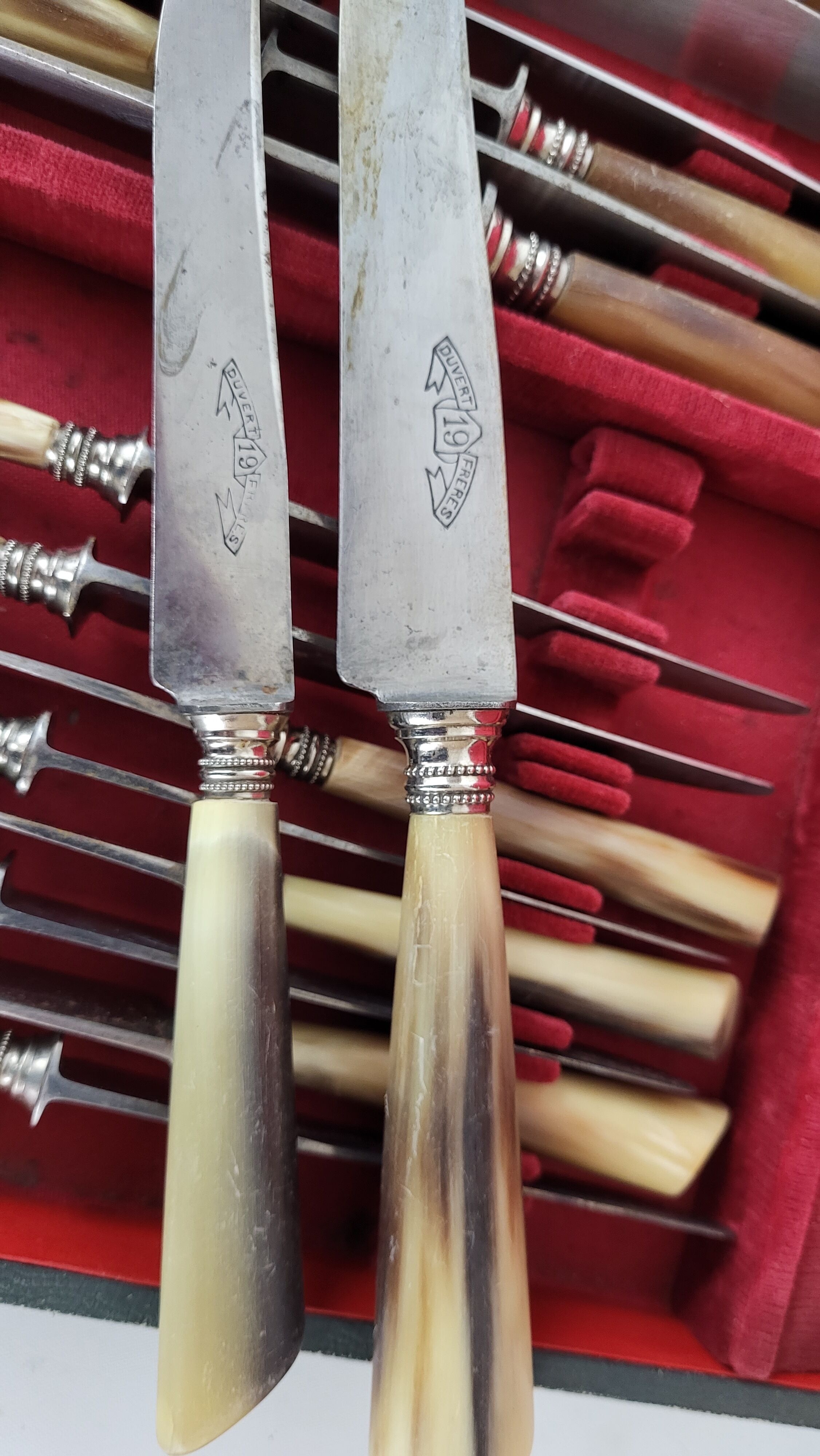 Service 20 table knives blade steel handle horn