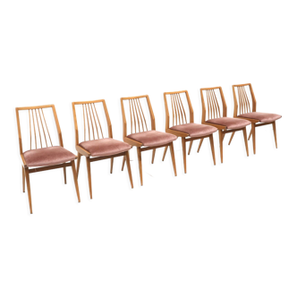 Lot de 6 chaises en velours rose fabriqué dans les années 60