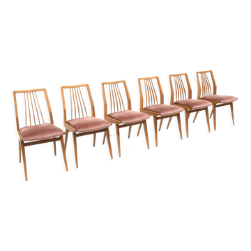 Lot de 6 chaises en velours rose fabriqué dans les années 60