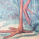 Affiche "cigogne" lithographie Karl Jansky Böhmen 1897