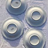 Hand painted fruit decor plates