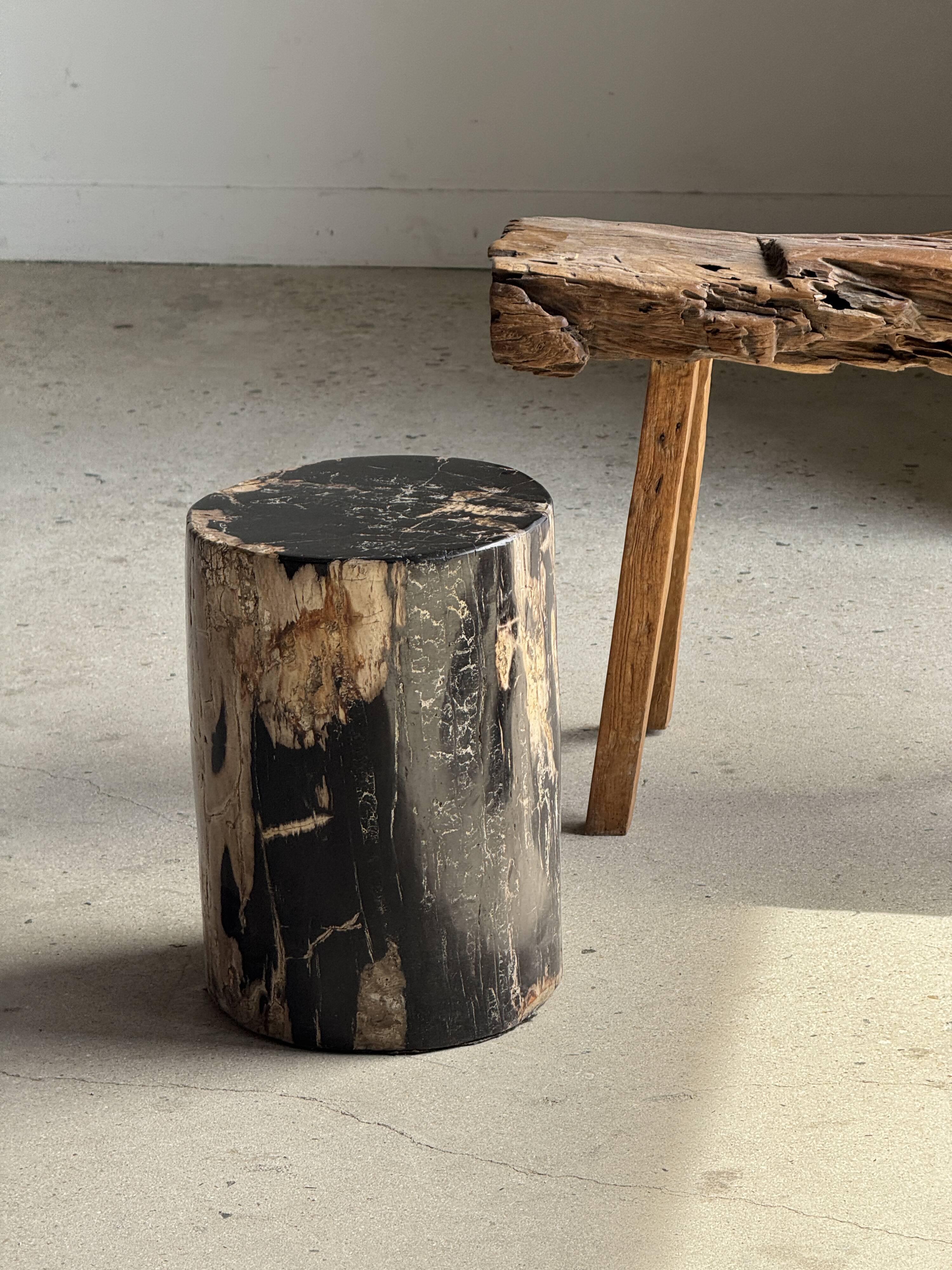 Black petrified wood side table with beige side H35 D24 - 3352