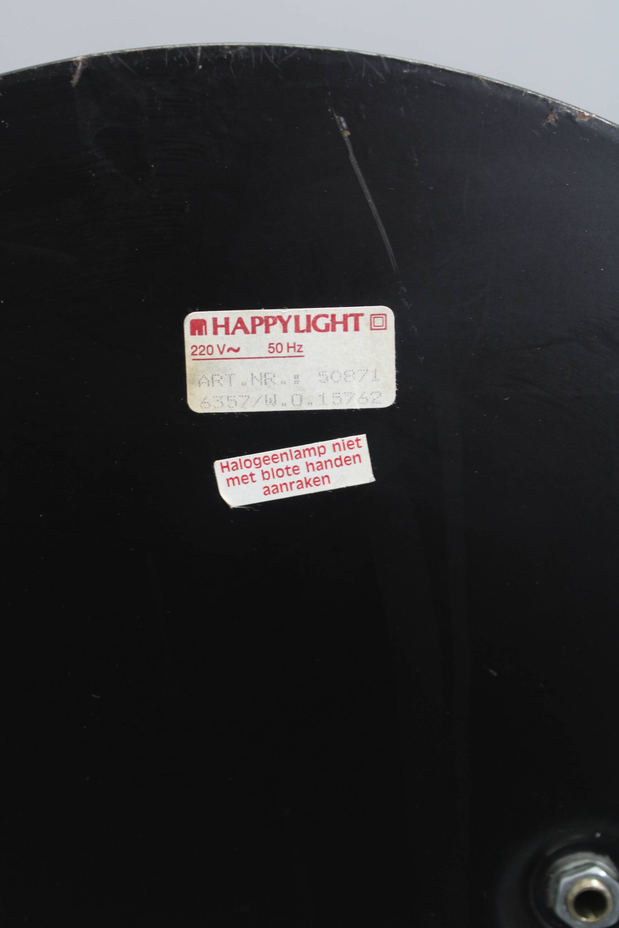 1970s Halogen Floor Lamp With Glass Shade , Europe