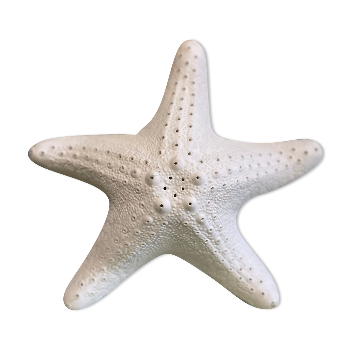Porcelain wall lamp starfish design