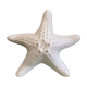 Porcelain wall lamp starfish design