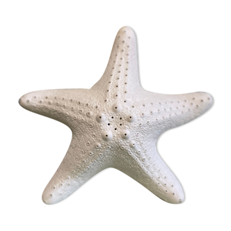 Porcelain wall lamp starfish design