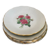 5 assiettes creuses porcelaine
