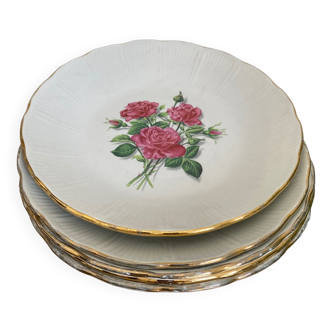 5 assiettes creuses porcelaine