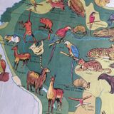 MDI school map: SOUTH AMERICA - OCEANIA fauna vegetation.