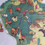 MDI school map: SOUTH AMERICA - OCEANIA fauna vegetation.