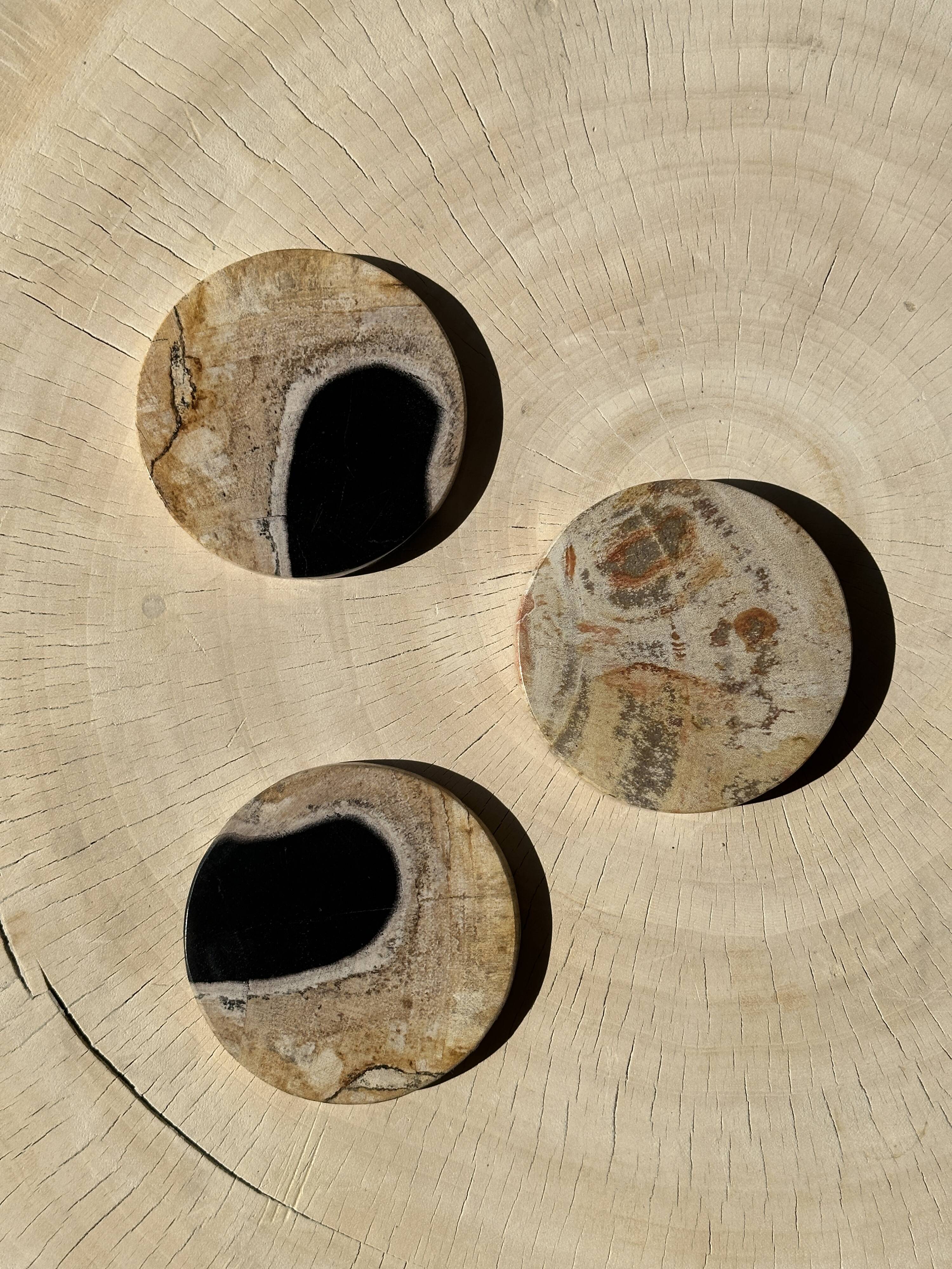 Set of 3 fossilized wood coasters (clear)