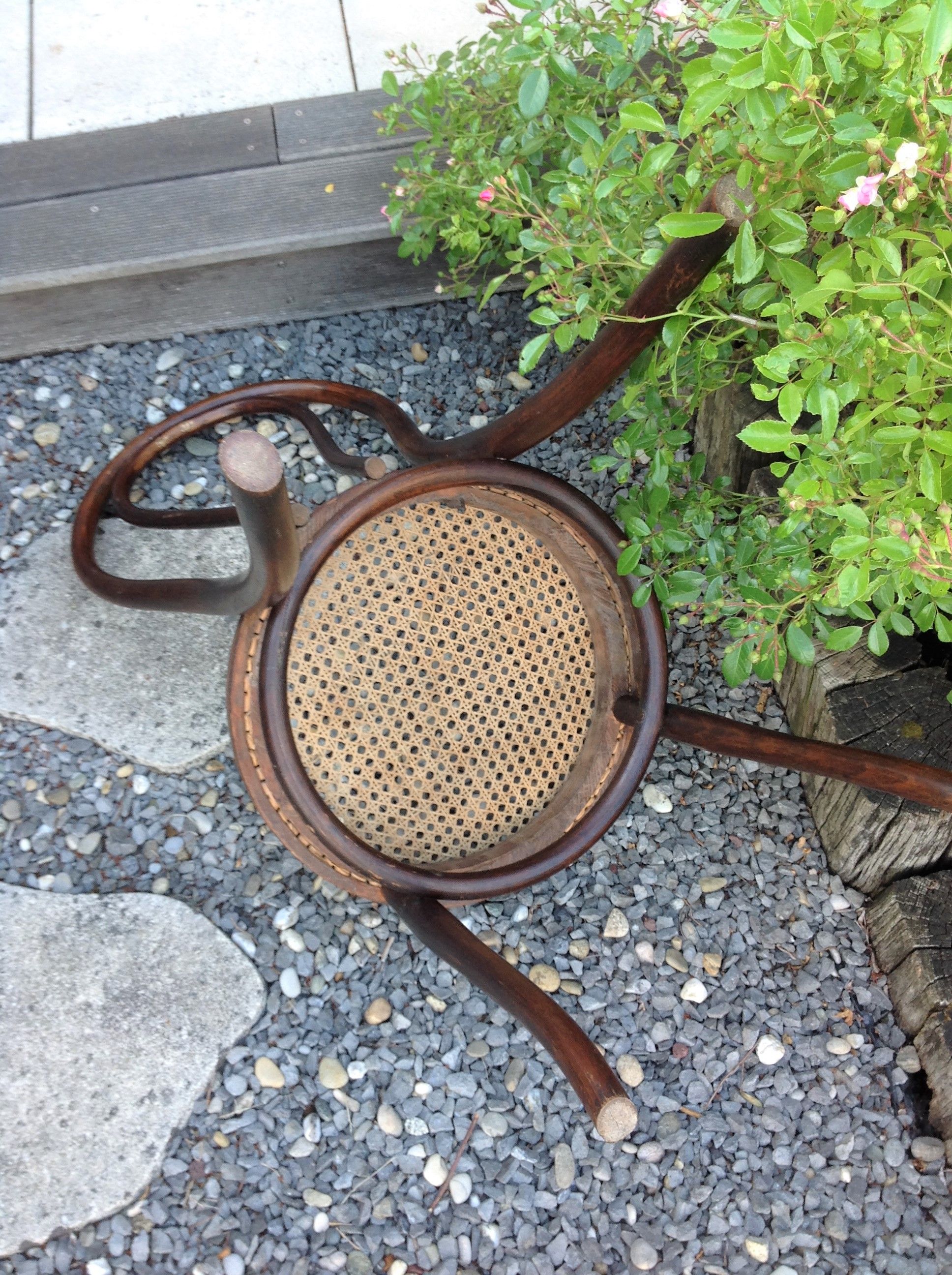 Bistro chair in curved wood and cannage / vintage years 30-40