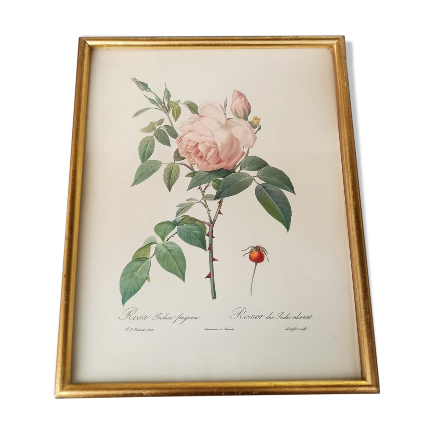 Botanical board Pj Redoute