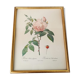 Botanical board Pj Redoute