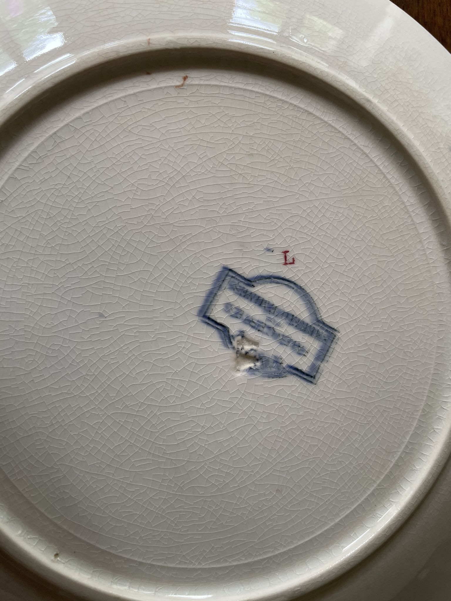 Flat plates Sarreguemines Iron Earth model Blue favorite