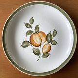 5 assiettes plates anciennes en faïence de Gien