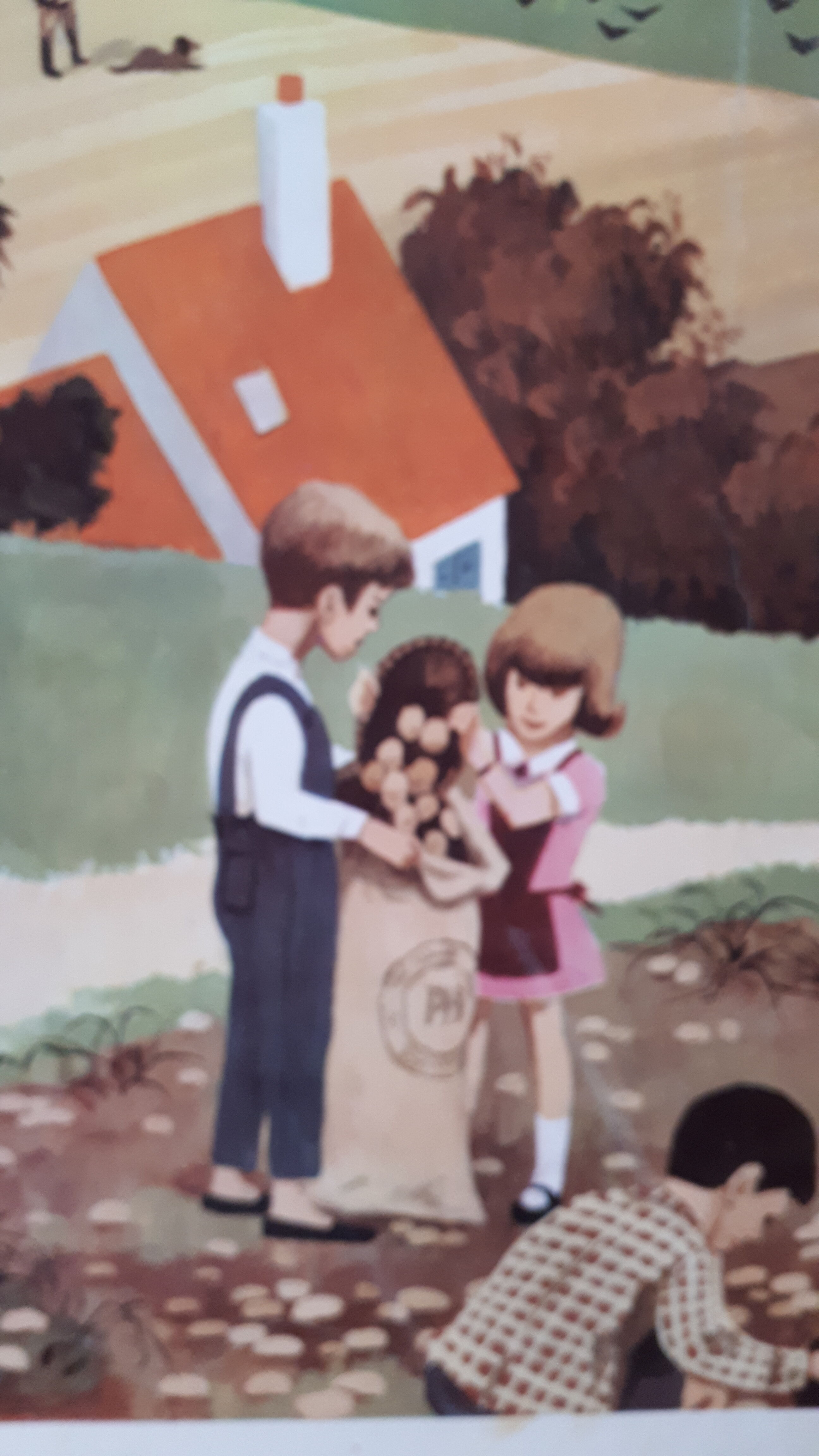 Map displays school lesson fall vintage 1967