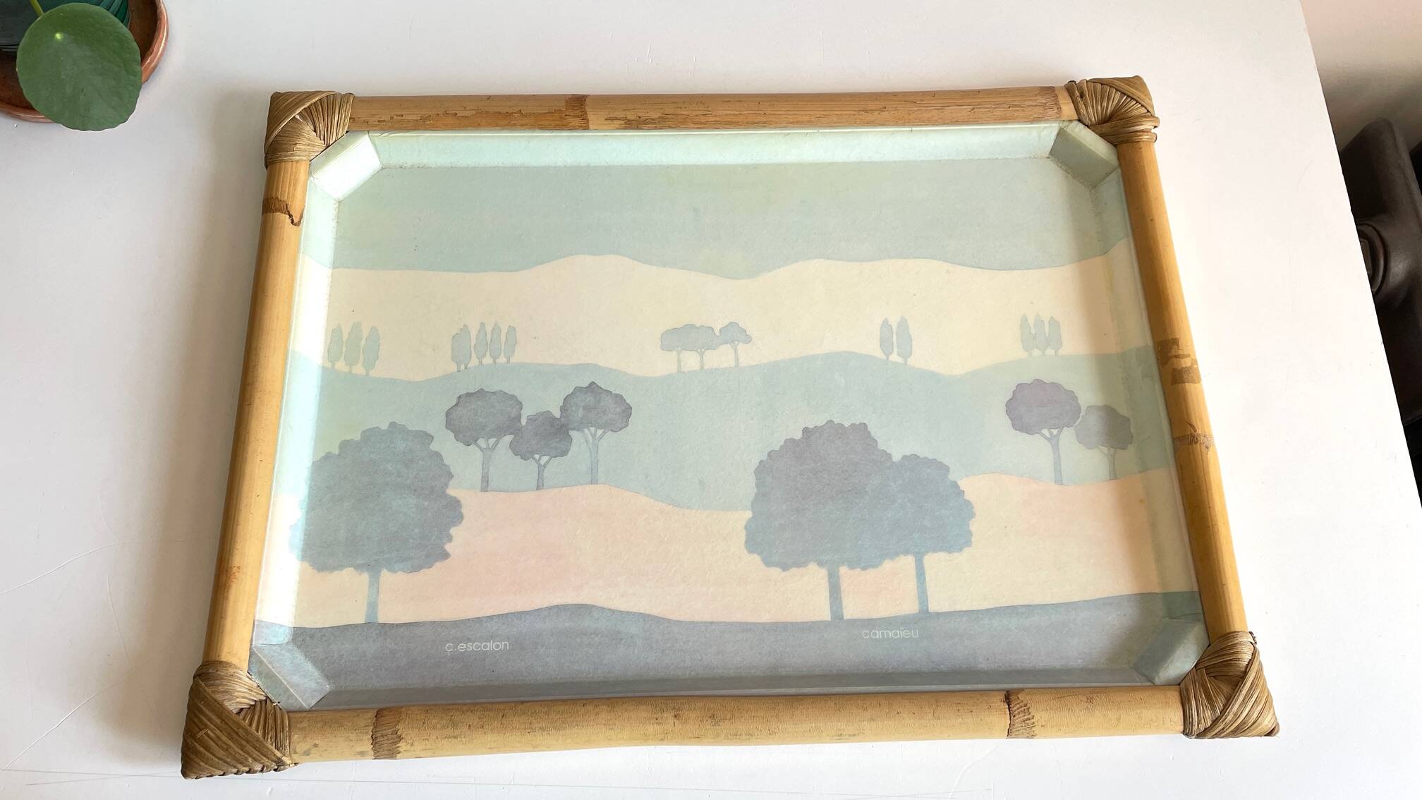 Catherine escalon vintage fiberglass serving tray