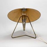 Large Rare Table or Wall Lamp by Helena Frantova for OKOLO, Czechoslovakia, 1950's