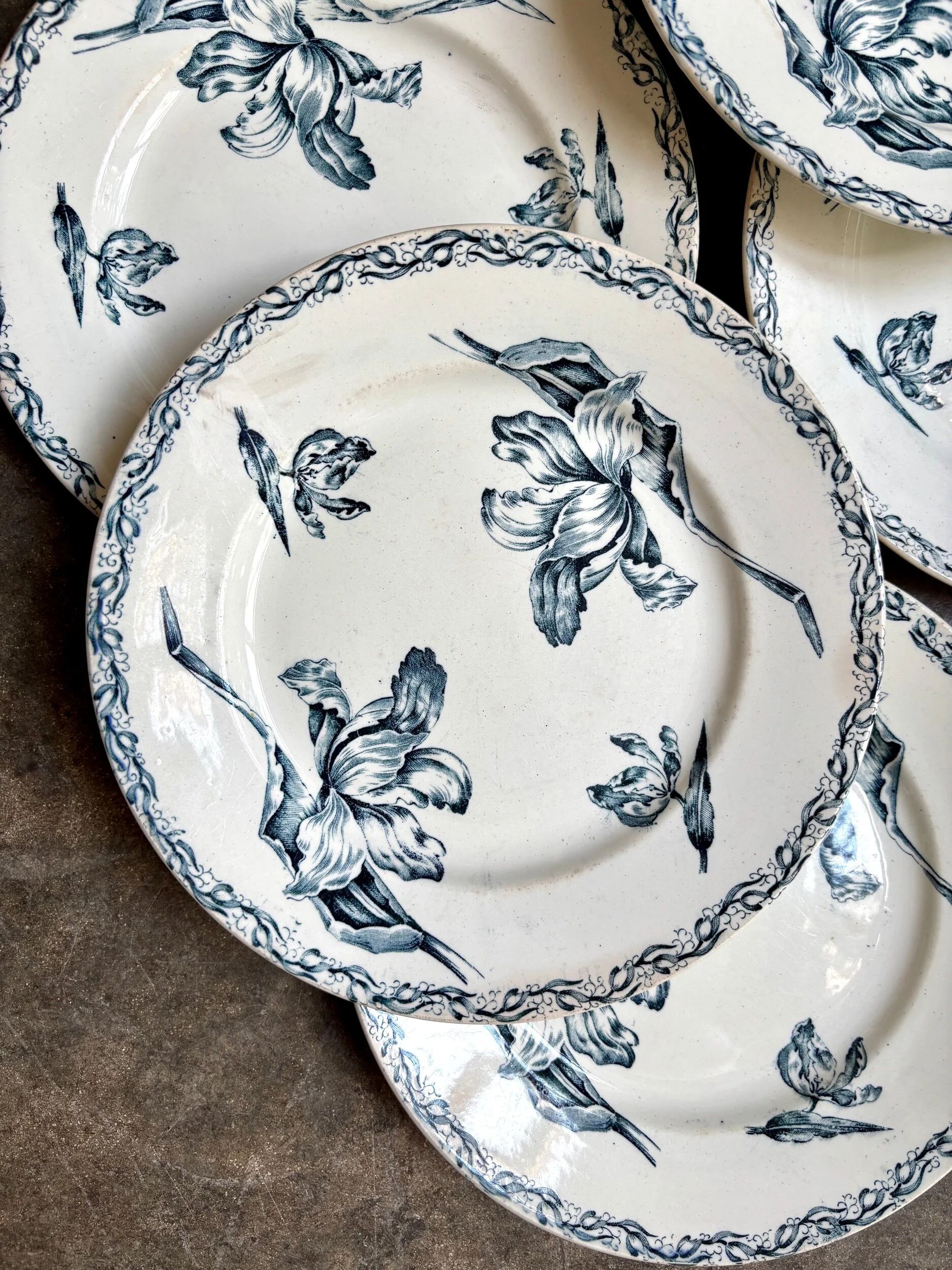6 flat plates Lunéville in blue ironstone, "Tulip" service