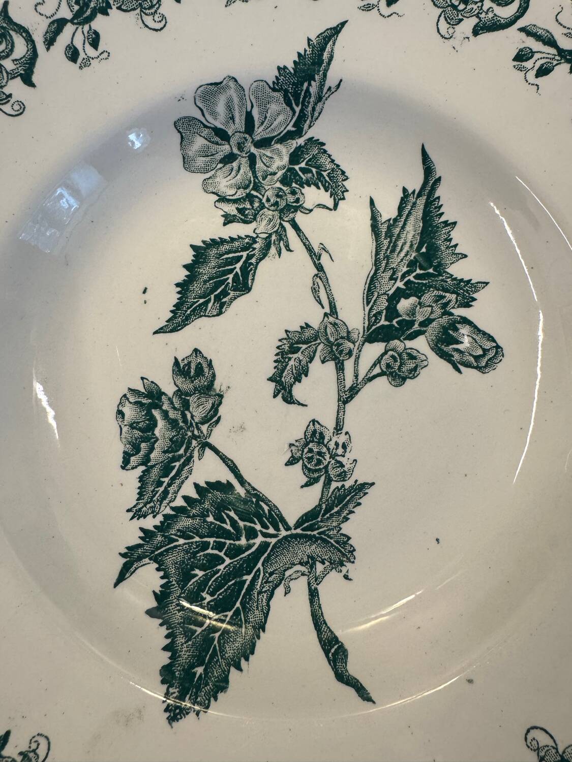 Set of 7 Terre de fer soup plates, green