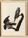 Poster about the Hawk Owl, based on an old engraving from 1827.