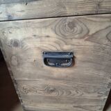 Old trunk
