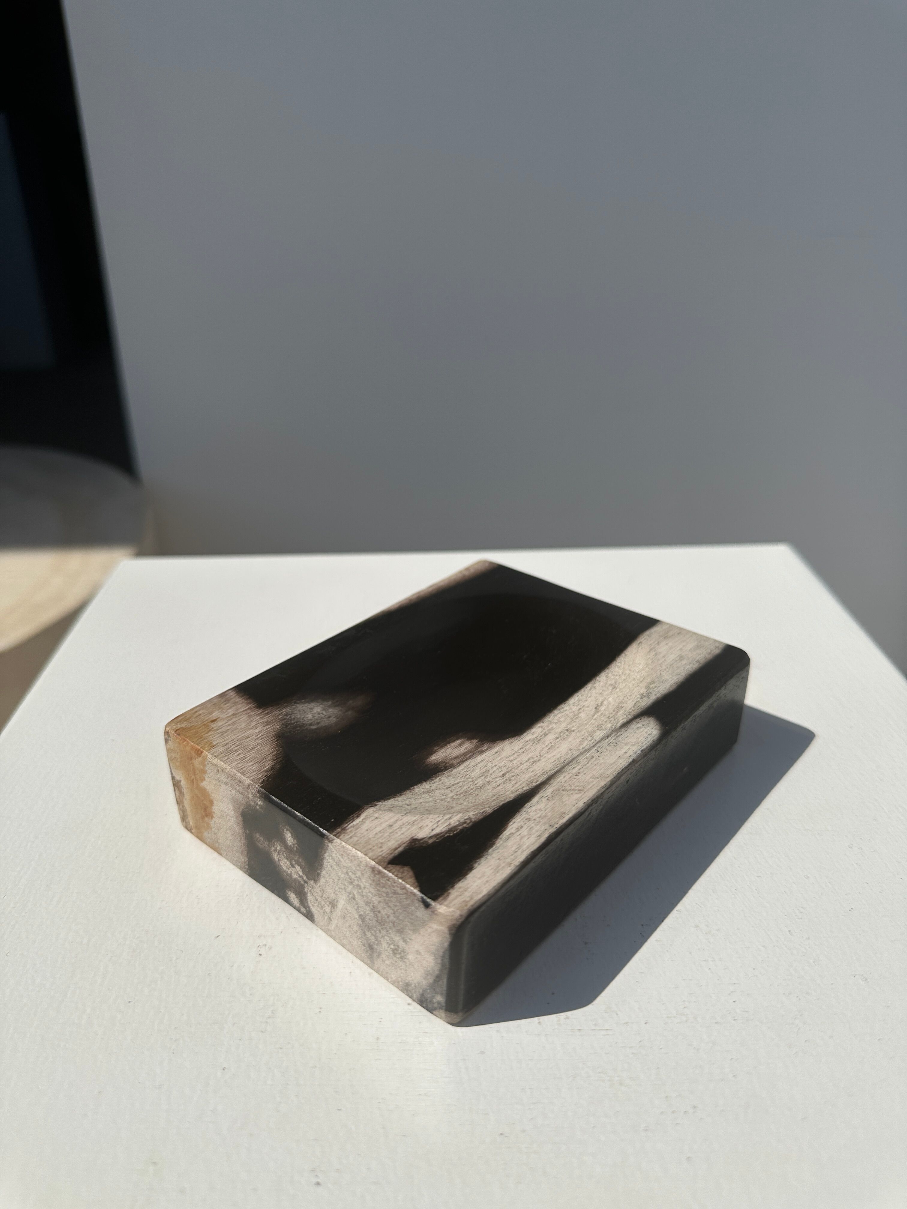 Symmetrical multicolored petrified wood soap dish