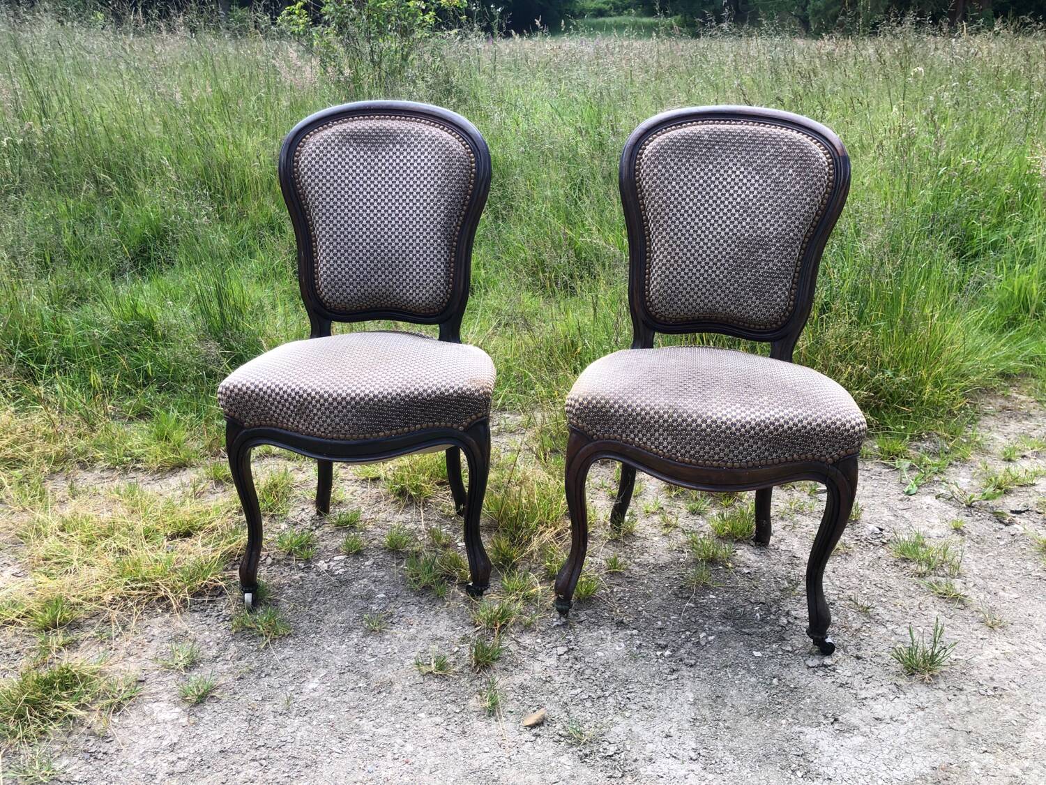 Pair of rosewood medallion chairs