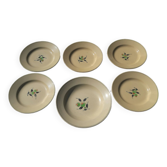 Set of 5 plates and 1 deep dish in Boch earthenware